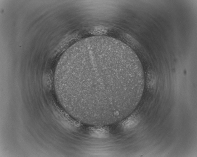 X0000056000370200509021710