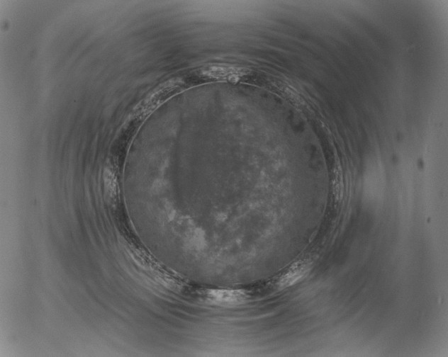 X0000056000371200509021710