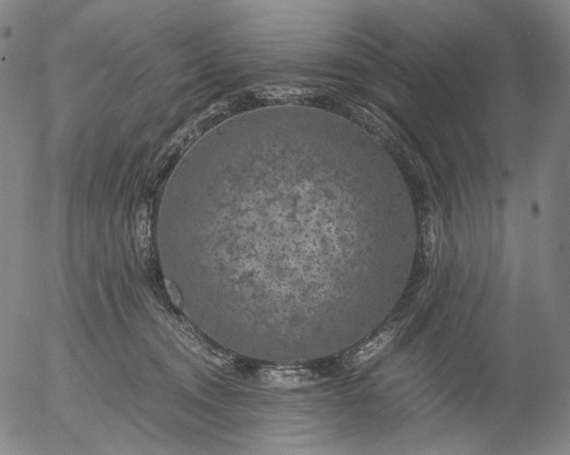 X0000056000372200509021710