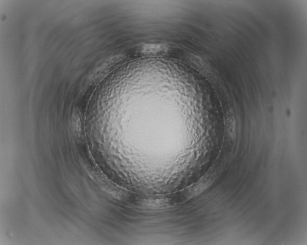 X0000056000375200509021710