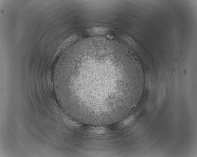 X0000056000377200509021710