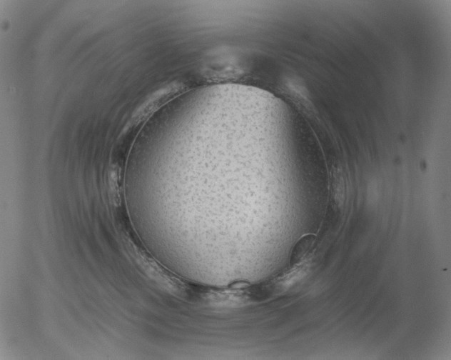 X0000056000378200509021710