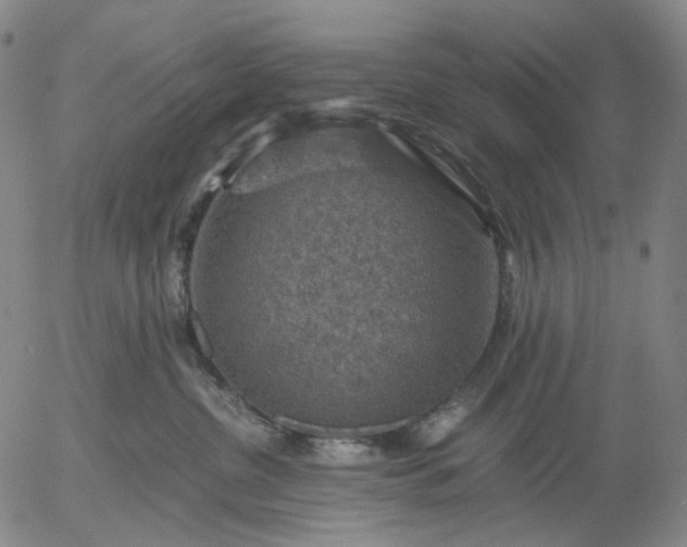 X0000056000380200509021710