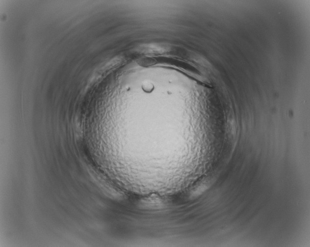 X0000056000381200509021710