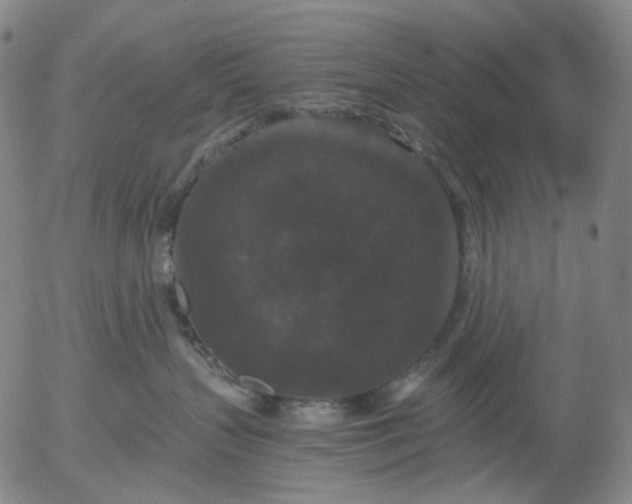 X0000056000383200509021710