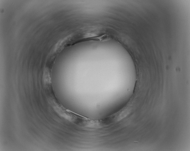 X0000056000384200509021710