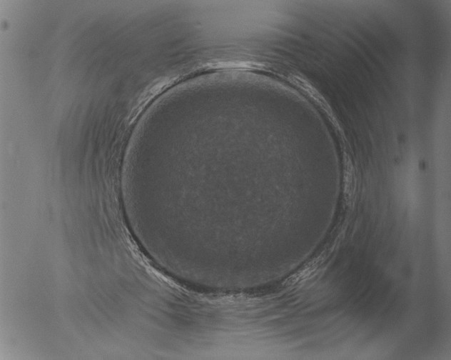 X0000056000385200509021709