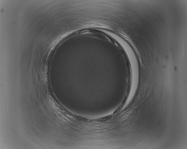 X0000056000387200509021709