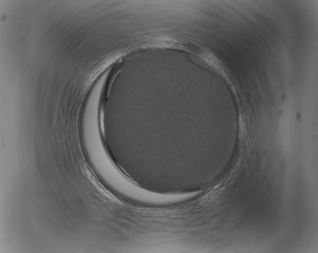 X0000056000389200509021709