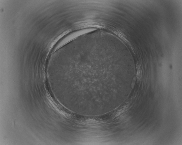 X0000056000390200509021709