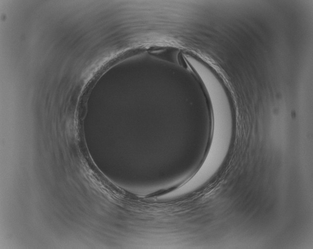 X0000056000391200509021709