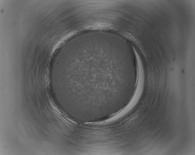 X0000056000392200509021709