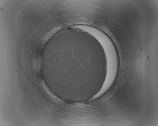 X0000056000393200509021709