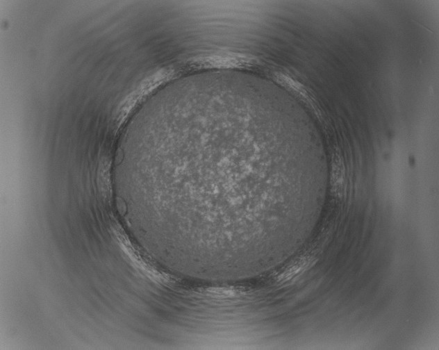 X0000056000394200509021709