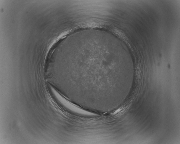 X0000056000395200509021709