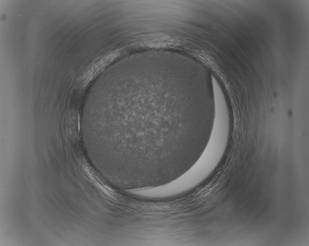 X0000056000397200509021709