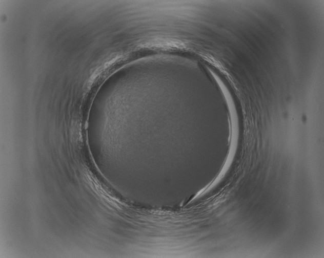 X0000056000399200509021709