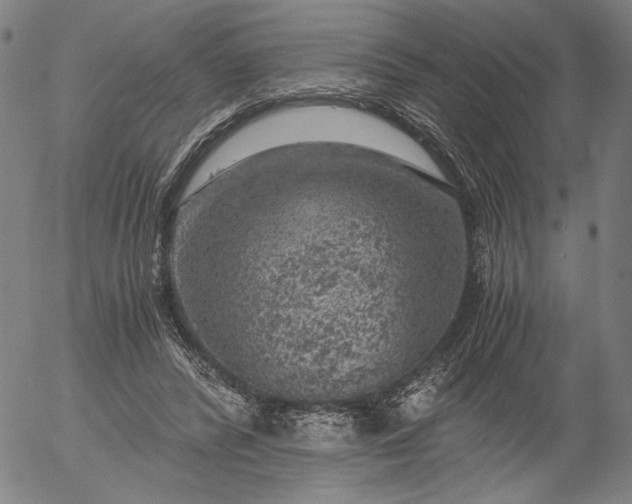 X0000056000400200509021709