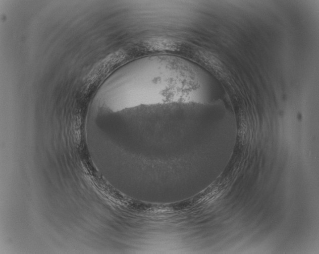 X0000056000402200509021709