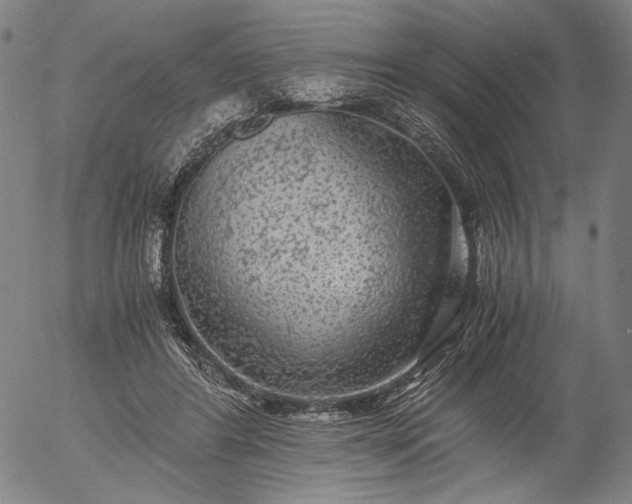 X0000056000404200509021709