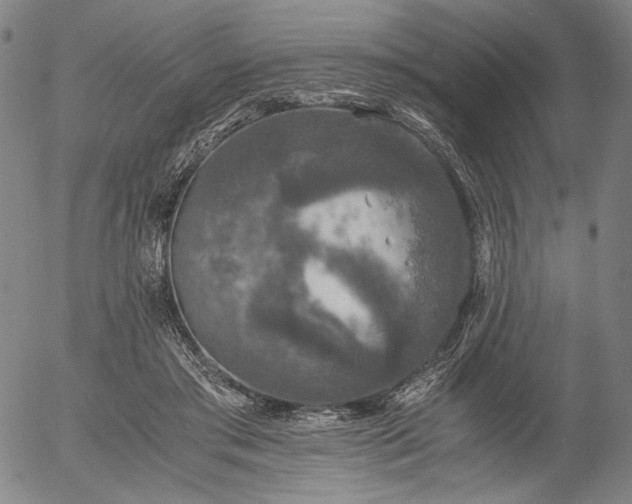 X0000056000405200509021709