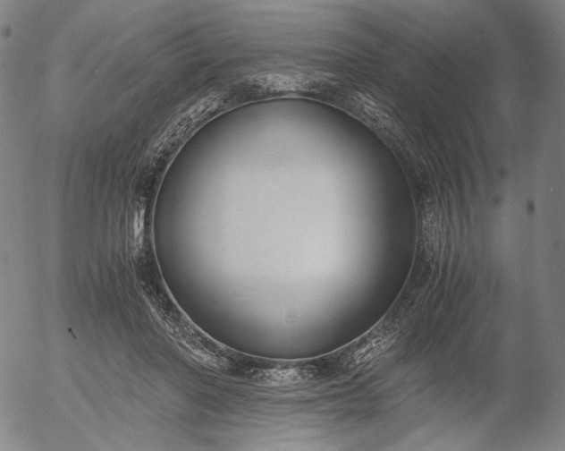 X0000056000406200509021709