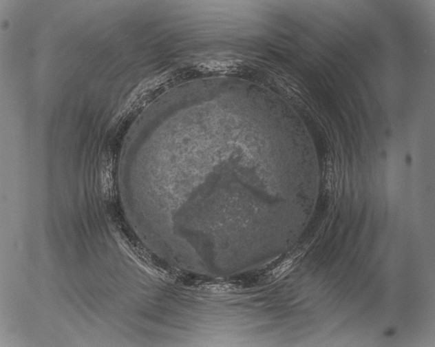 X0000056000408200509021709