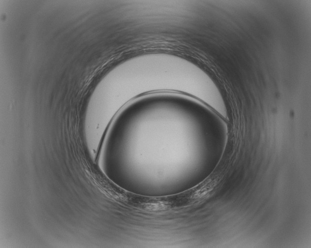 X0000056000411200509021709