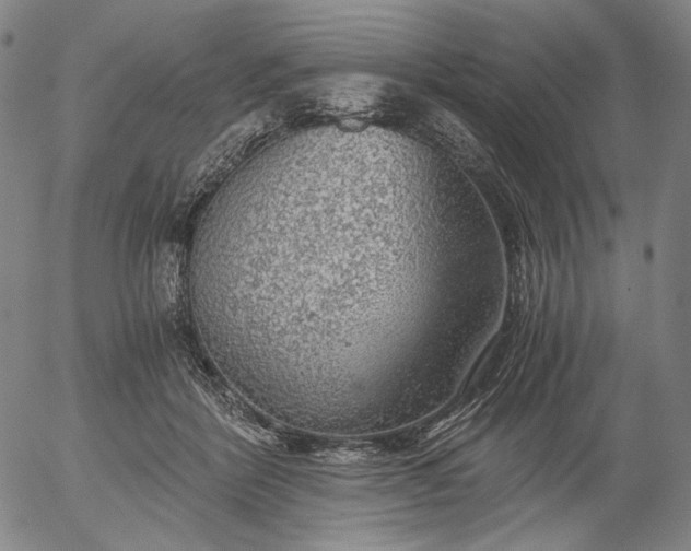 X0000056000412200509021709