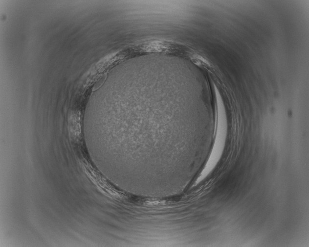 X0000056000413200509021709