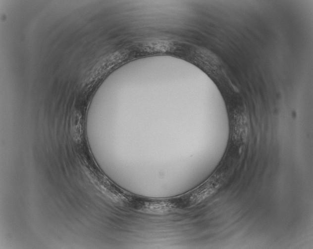 X0000056000414200509021709