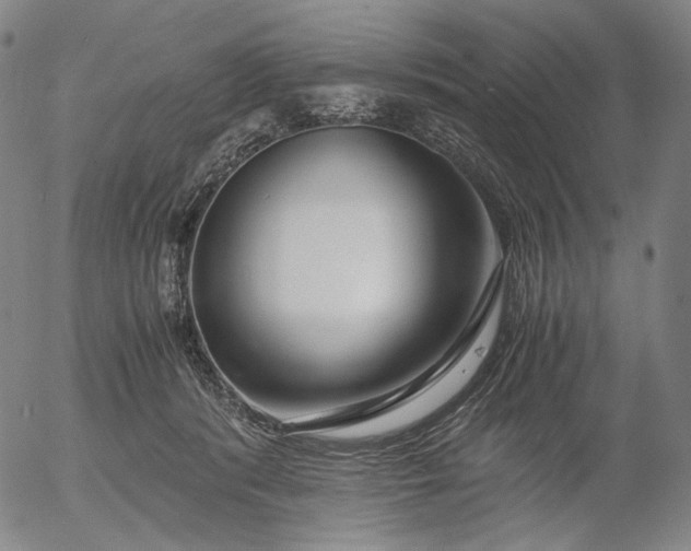 X0000056000416200509021709