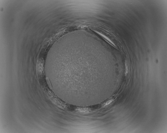 X0000056000417200509021709