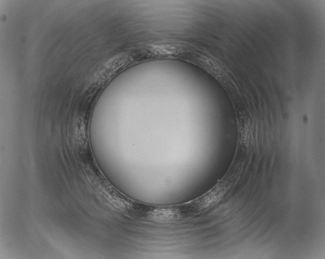 X0000056000418200509021709