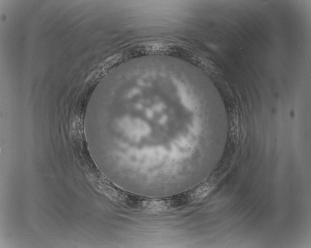 X0000056000419200509021709