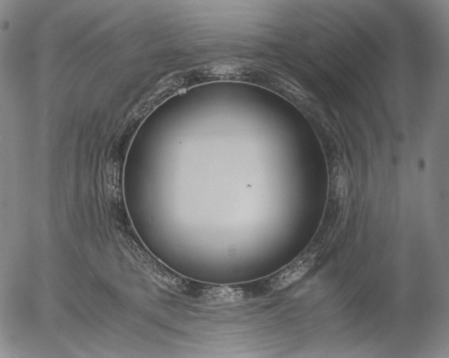 X0000056000421200509021709