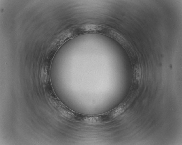 X0000056000422200509021709