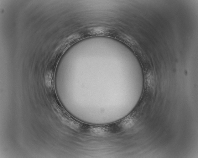 X0000056000423200509021709