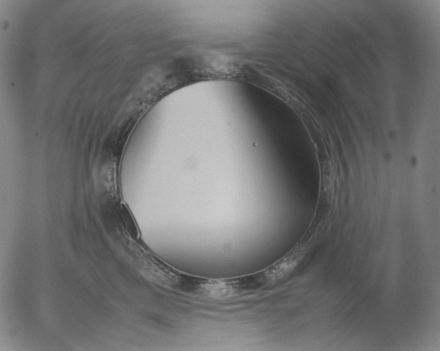 X0000056000425200509021709