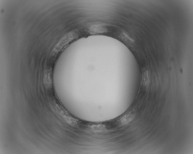 X0000056000426200509021709