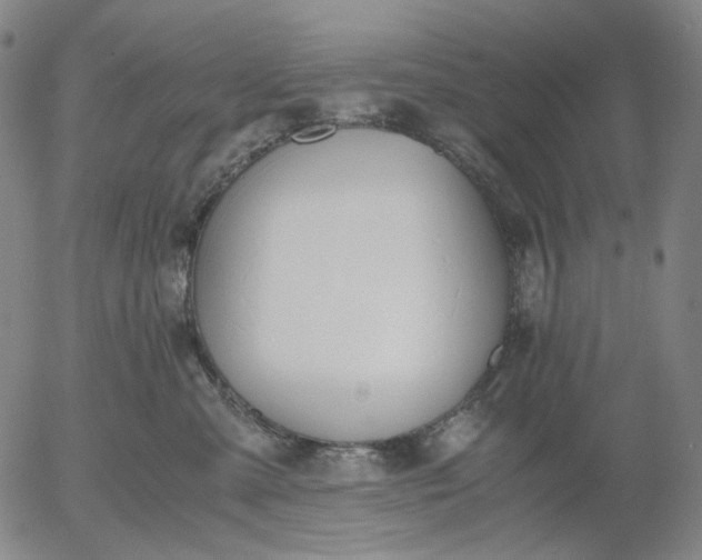 X0000056000427200509021709