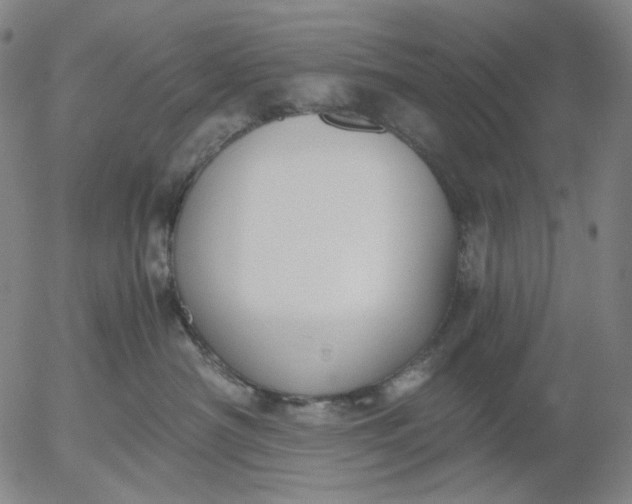 X0000056000430200509021709