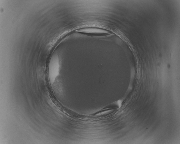 X0000056000434200509021708