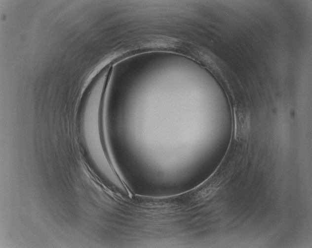 X0000056000435200509021708