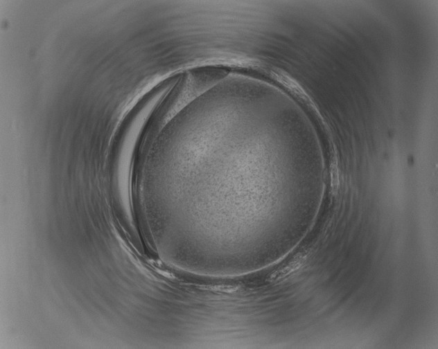 X0000056000436200509021708