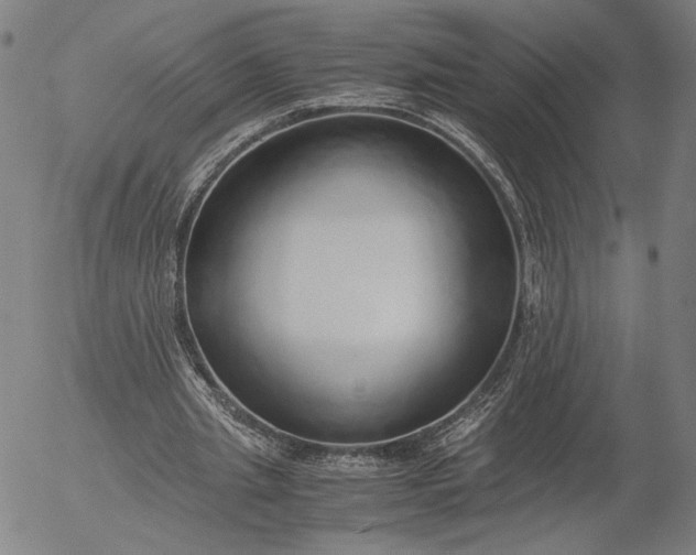 X0000056000437200509021708