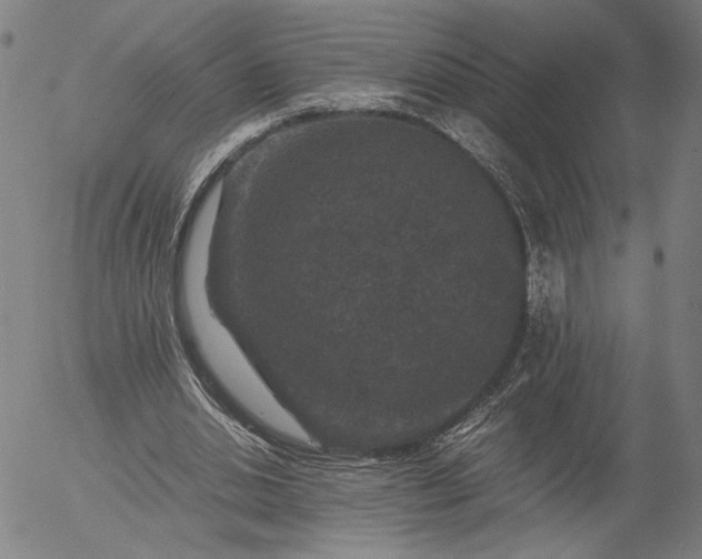 X0000056000438200509021708