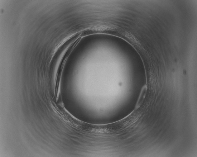 X0000056000440200509021708