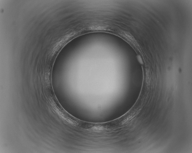 X0000056000441200509021708