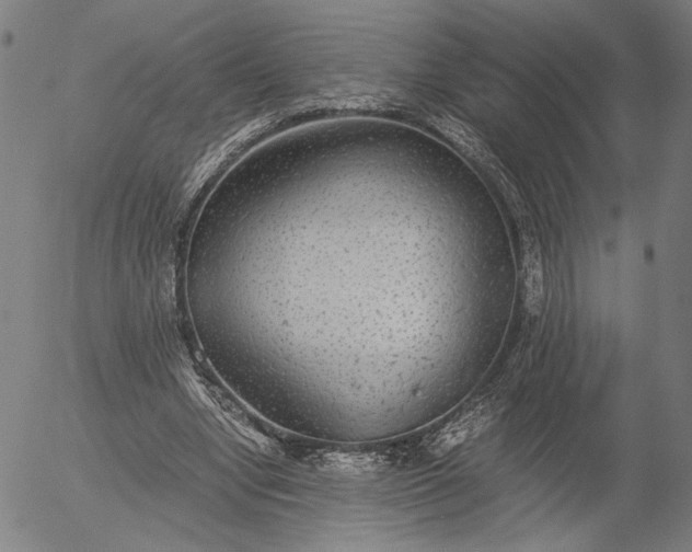 X0000056000442200509021708